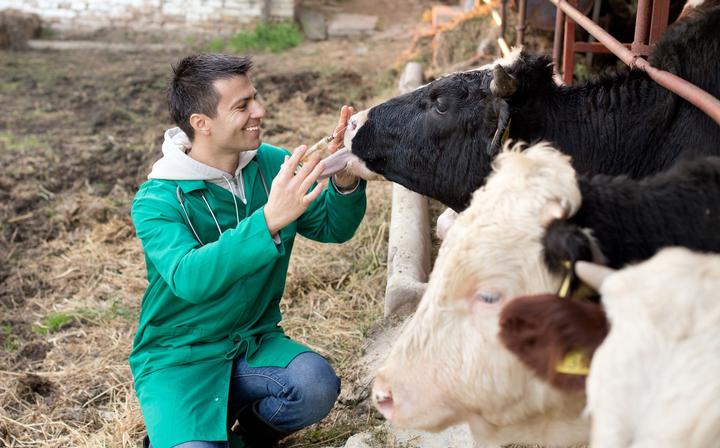 ZM-soigner-vos-animaux ZM-soigner-vos-animaux