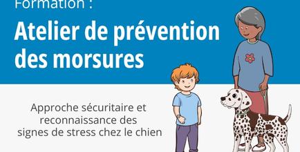 zonemembre_morsures