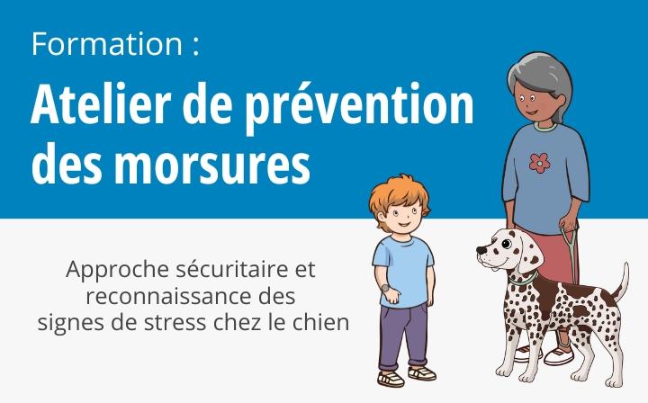 zonemembre_morsures