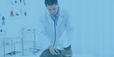 FAQ-serv-urgence