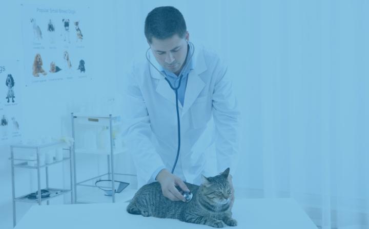 FAQ-serv-urgence