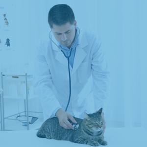 FAQ-serv-urgence