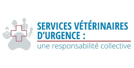 urgence-zm